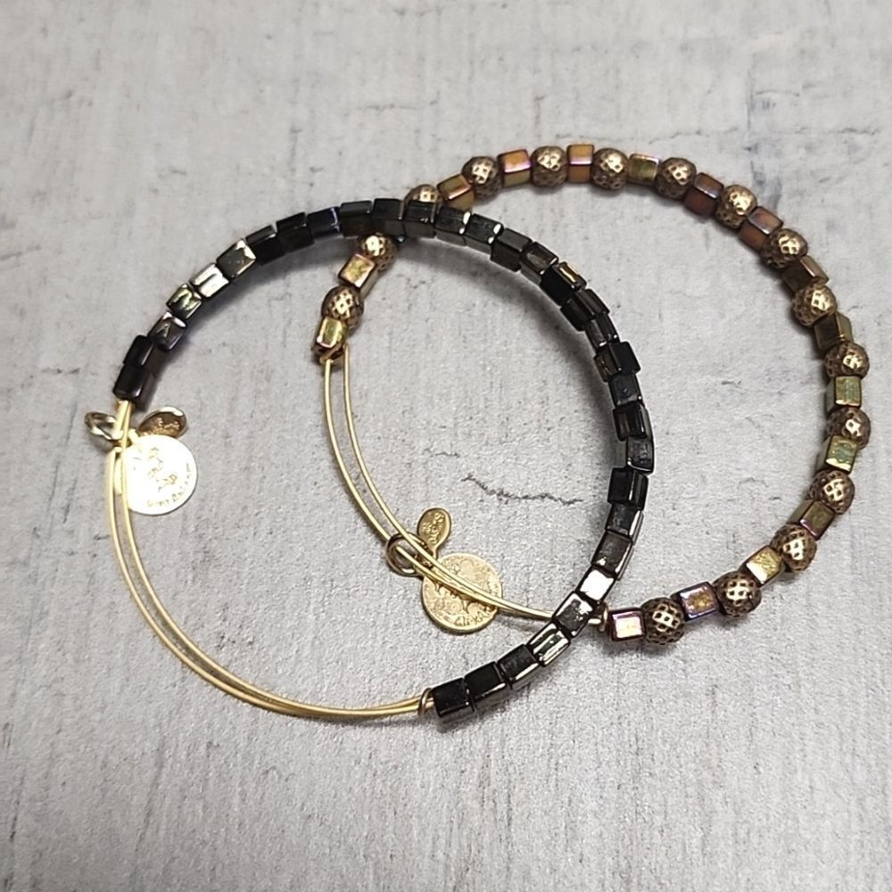 Alex and Ani Set of 2 Bracelets